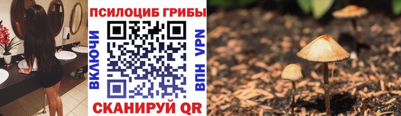 наркотики  Соль-Илецк  Галлюциногенные грибы мухоморы 