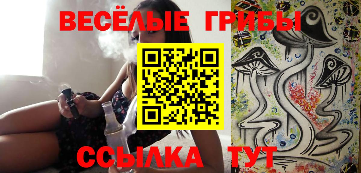 Соль-Илецк  Галлюциногенные грибы ЛСД  Вход с VPN 