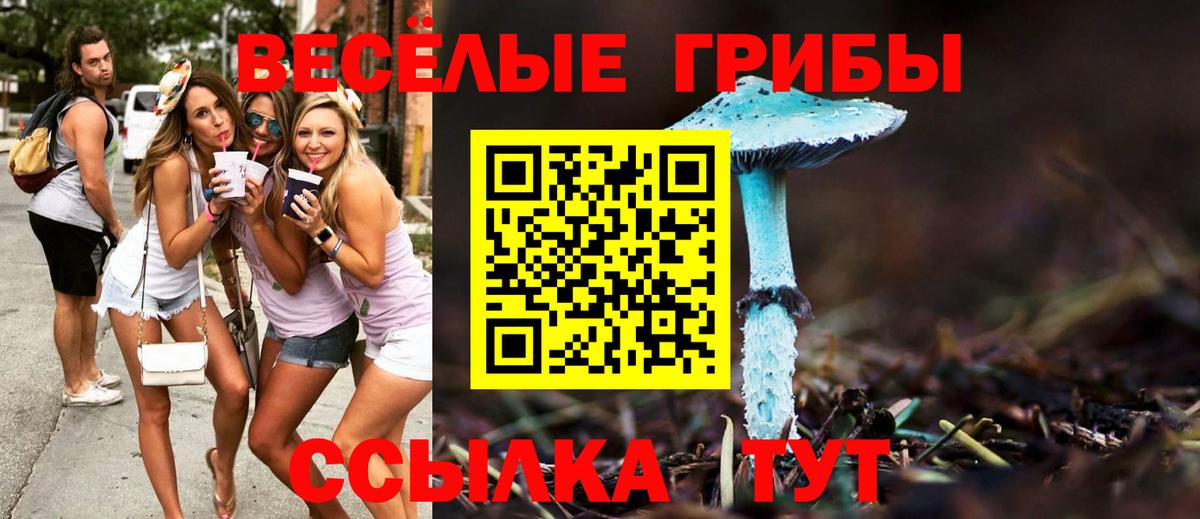 Галлюциногенные грибы мухоморы Соль-Илецк